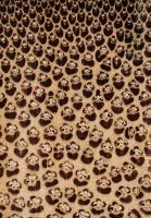 Bambus (Phyllostachys sp.): Querschnitt (ca. 12x)
© Thünen