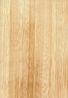 Piquiá (Caryocar glabrum): radiale Oberfläche (natürliche Größe)
© Thünen