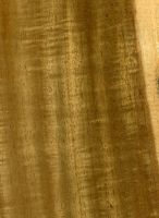 Mangium (Acacia mangium): Radiale Oberfläche (natürliche Größe)
© Thünen-Institut