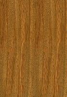 Andira (Andira spp.): radiale Oberfläche (natürliche Größe)