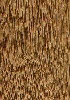 Andira (Andira spp.): tangentiale Oberfläche (natürliche Größe)