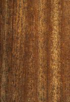 Okan (Cylicodiscus gabonensis): radiale Oberfläche (natürliche Größe)