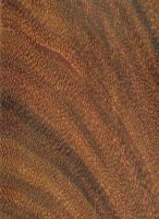 Okan (Cylicodiscus gabonensis): Tangentiale Oberfläche (natürliche Größe)
© Thünen-Institut