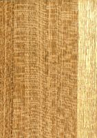 Freijó (Cordia goeldiana): radiale Oberfläche (natürliche Größe)
© Thünen