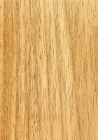 Freijó (Cordia goeldiana): tangentiale Oberfläche (natürliche Größe)