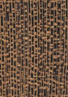 Freijó (Cordia goeldiana): Querschnitt (ca. 12x)
© Thünen