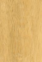 Marupá (Simarouba amara): tangentiale Oberfläche (natürliche Größe)