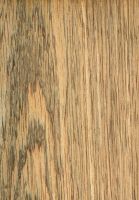 Merpauh (Swintonia sp.): tangentiale Oberfläche (natürliche Größe)