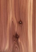 Eastern redcedar (Juniperus virginiana): tangentiale Oberfläche (natürliche Größe)