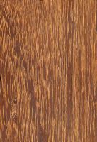 Kempas (Koompassia malaccensis): tangentiale Oberfläche (natürliche Größe)