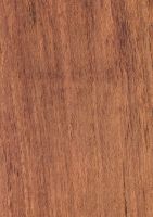 Wallaba (Eperua falcata): tangentiale Oberfläche (natürliche Größe)
© Thünen