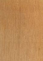 Bacurí (Platonia insignis): radiale Oberfläche (natürliche Größe)
© Thünen