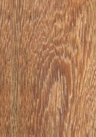 Bacurí (Platonia insignis): tangentiale Oberfläche (natürliche Größe)
© Thünen