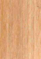 Punah (Tetramerista glabra): radiale Oberfläche (natürliche Größe)
© Thünen