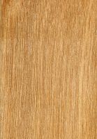 Punah (Tetramerista glabra): tangentiale Oberfläche (natürliche Größe)
© Thünen