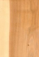 Pappel/Aspe (Populus sp.): radiale Oberfläche mit Farbkern (natürliche Größe)
© Thünen