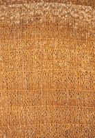 Pappel/Aspe (Populus sp.): Querschnitt (ca. 12x)
© Thünen