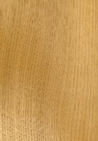 Edelkastanie (Castanea sativa): radiale Oberfläche (natürliche Größe)
© Thünen