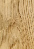 Edelkastanie (Castanea sativa): tangentiale Oberfläche (natürliche Größe)