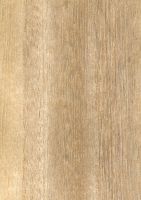 Kiri (Paulownia tomentosa): radiale Oberfläche (natürliche Größe)
© Thünen