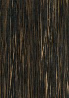 Black palm (Iriartea deltoidea): Oberfläche (natürliche Größe)
© Thünen