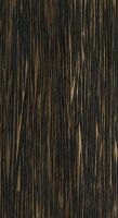 Black palm (Iriartea deltoidea) – Oberfläche in natürlicher Größe
© von-Thünen-Institut