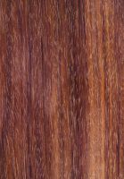 Satiné (Brosimum rubescens): tangentiale Oberfläche (natürliche Größe)
© Thünen