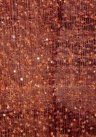 Satiné (Brosimum rubescens): Querschnitt (ca. 12x)
© Thünen