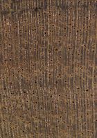 Ziricote (Cordia dodecandra): Querschnitt (ca. 12x)
© Thünen