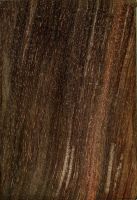 Katalox (Swartzia cubensis): radiale Oberfläche (natürliche Größe)
© Thünen