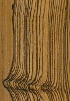 Barcino (Cordia elaeagnoides): radiale Oberfläche (natürliche Größe)
© Thünen