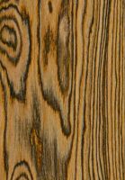 Barcino (Cordia elaeagnoides): tangentiale Oberfläche (natürliche Größe)