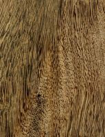 Wacapou (Vouacapoua americana) – Radiale Oberfläche (natürliche Größe)
© Thünen-Institut