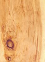 Zirbelkiefer (Pinus cembra): tangentiale Oberfläche (natürliche Größe)
© Thünen-Institut