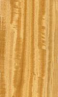 Ostindisches Satinholz (Chloroxylon swietenia.): radiale Oberfläche (natürliche Größe)
© Thünen-Institut