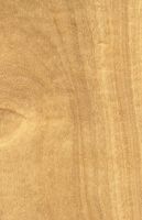 Ostindisches Satinholz (Chloroxylon swietenia.): tangentiale Oberfläche (natürliche Größe)
© Thünen-Institut