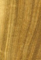 Tanimbuca (Terminalia spp.): tangentiale Oberfläche (natürliche Größe)
© Thünen-Institut
