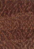 Mukulungu (<i>Autranella congolensis</i>): Querschnitt (ca. 10x)
© Thünen