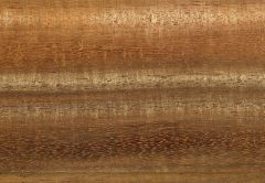 025 Angelique R Quer