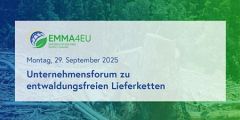 Bild1 Bild1