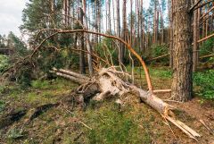 Grisha Bruev Shutterstock 211158034 Grisha Bruev Shutterstock 211158034