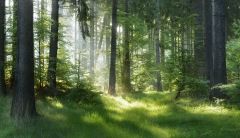 IStock 537361232