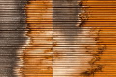 MatthiasBuehner Fotolia 98462578 MatthiasBuehner Fotolia 98462578