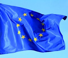 Eurofahne Eurofahne