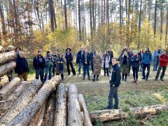 KM Ga LB Holz Vorne KM Ga LB Holz Vorne