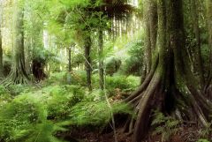 STILLFX IStock Thinkstock