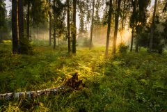 Shutterstock 1491102317