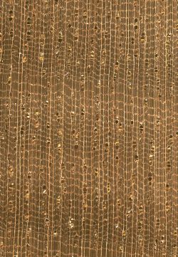 Aningre (Aningeria spp.): Querschnitt (ca. 10x)
© Thünen