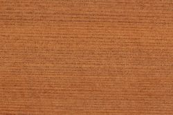 Redwood 1