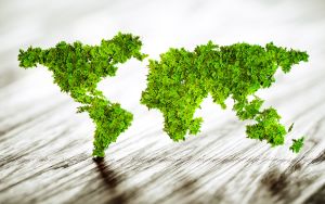 Foto: © small - Fotolia.com